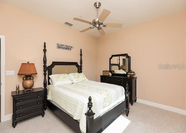 OCEAN HAMMOCK - Residential