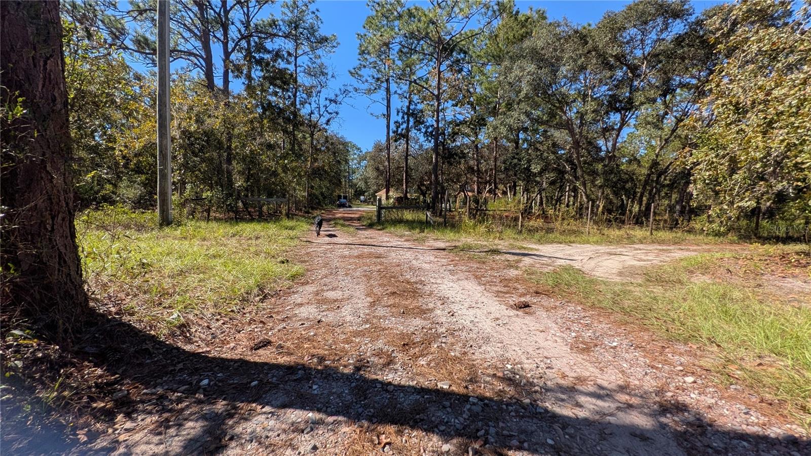 FLA SUNSHINE FARMETTES UN1 - Residential