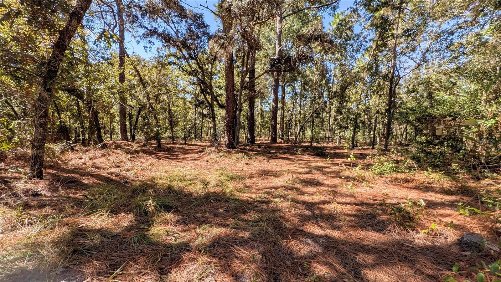 FLA SUNSHINE FARMETTES UN1 - Residential