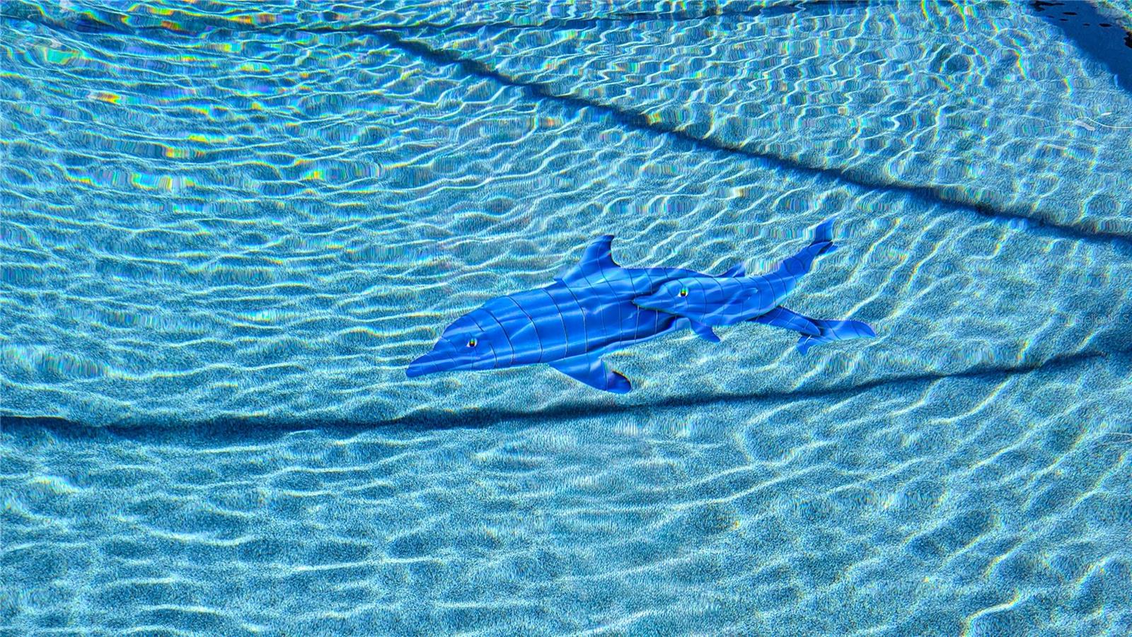 FLA SUNSHINE FARMETTES UN1 - Residential