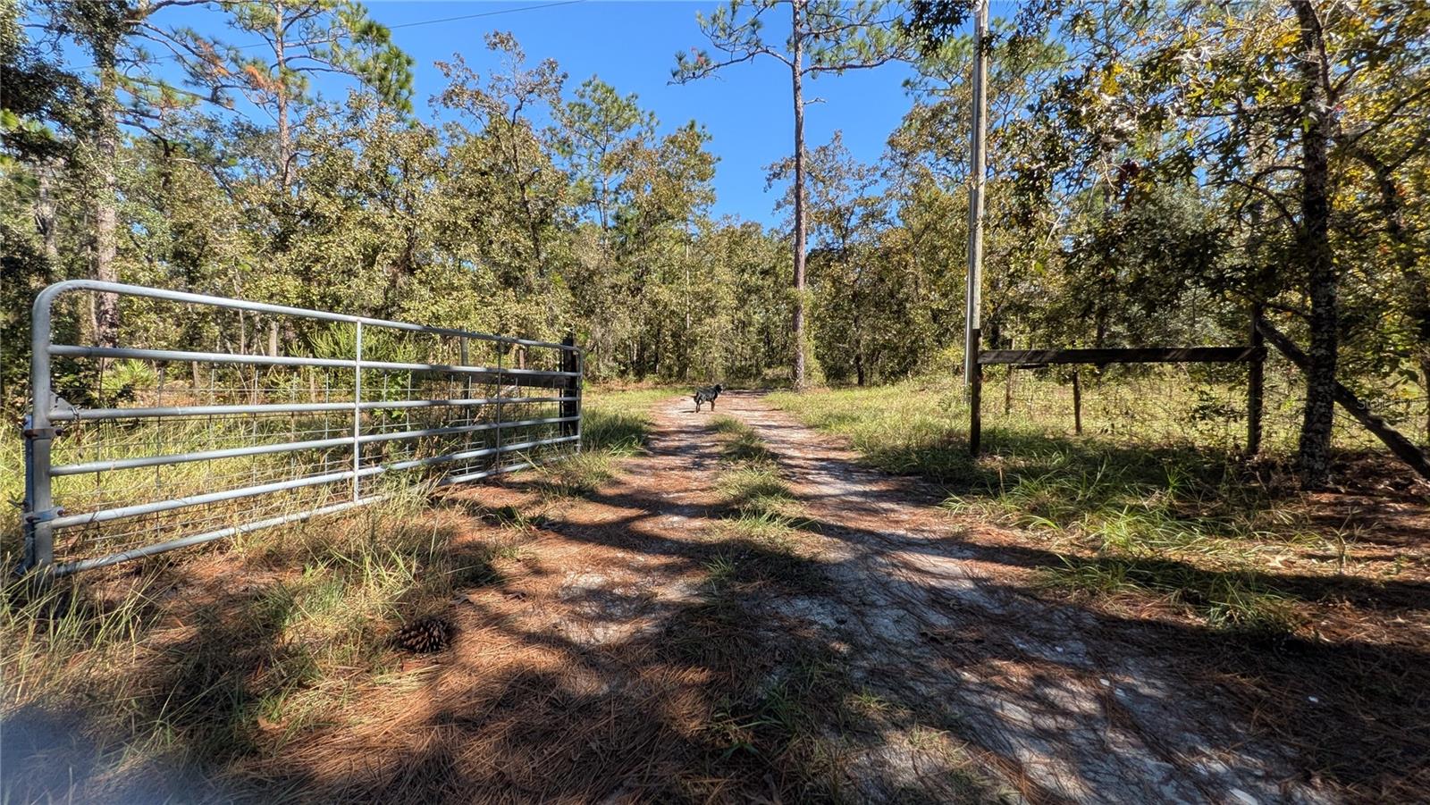 FLA SUNSHINE FARMETTES UN1 - Residential