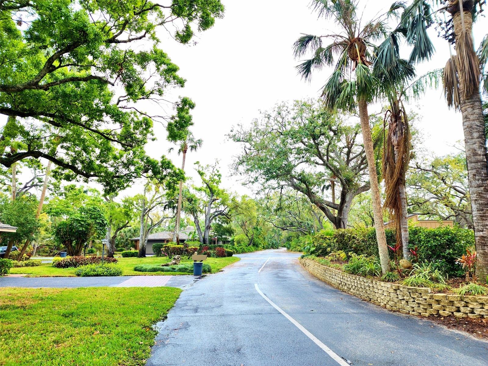 THE OAKS PH 4 - Residential