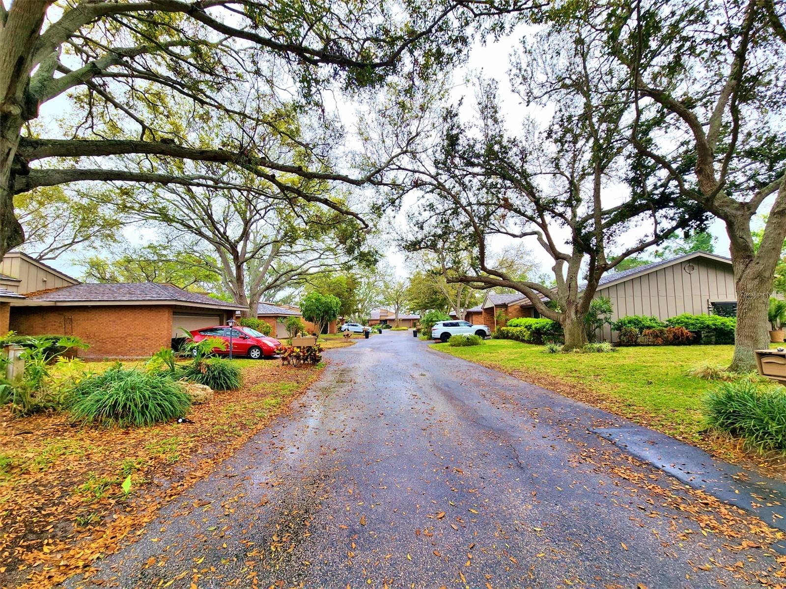 THE OAKS PH 4 - Residential