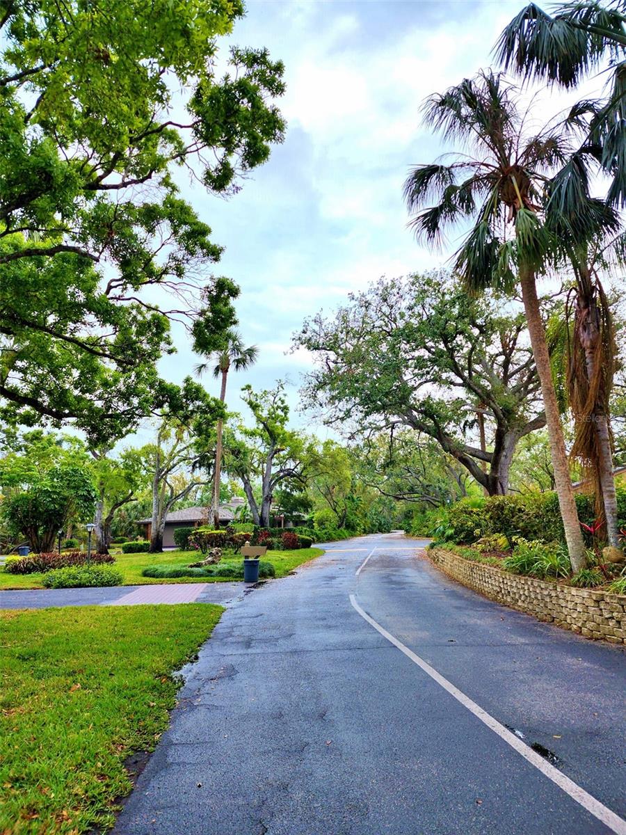 THE OAKS PH 4 - Residential