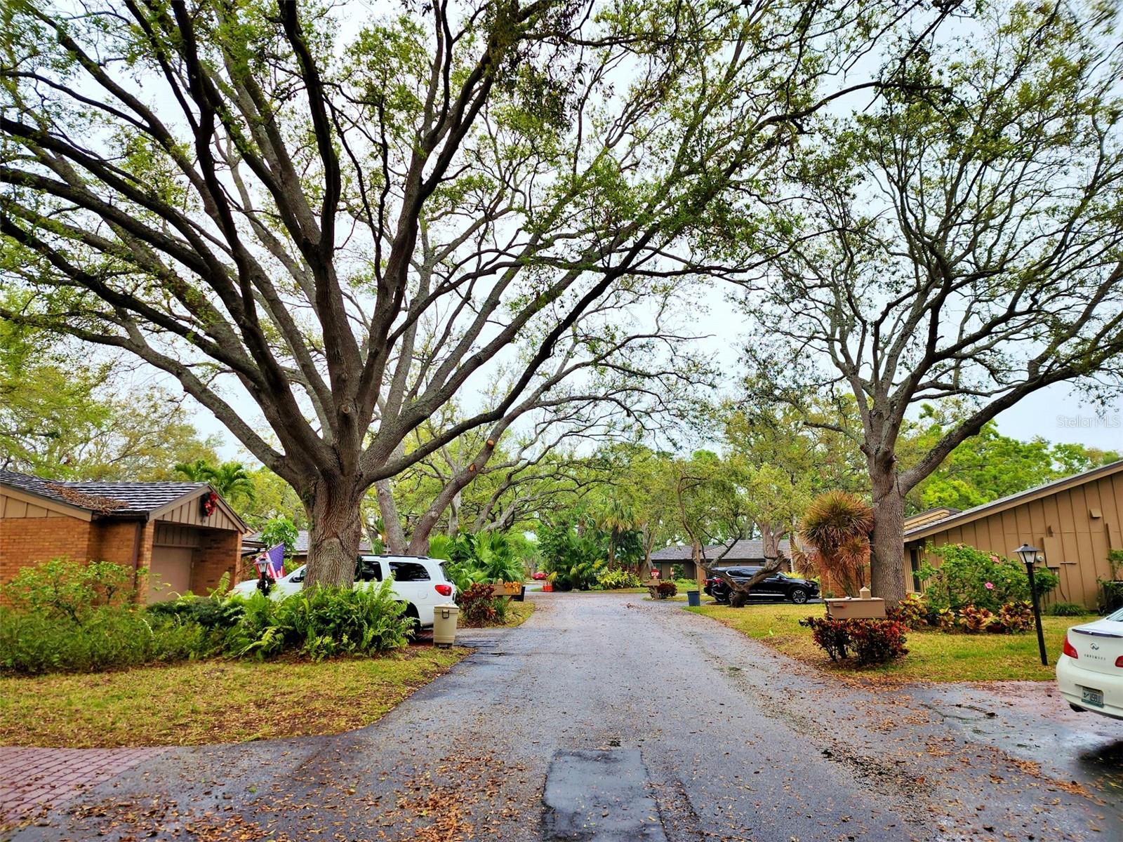 THE OAKS PH 4 - Residential