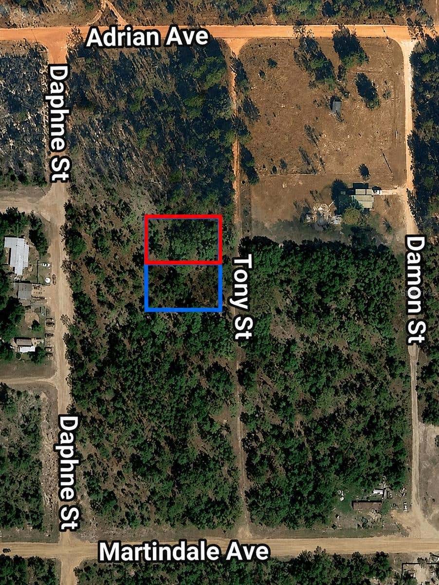 Photo of Toby Street, Interlachen, FL 32148 (MLS # TB8541058)