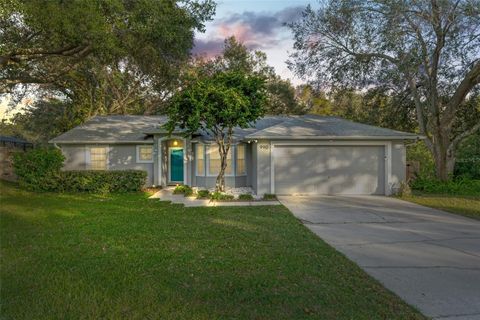 A home in WINTER GARDEN