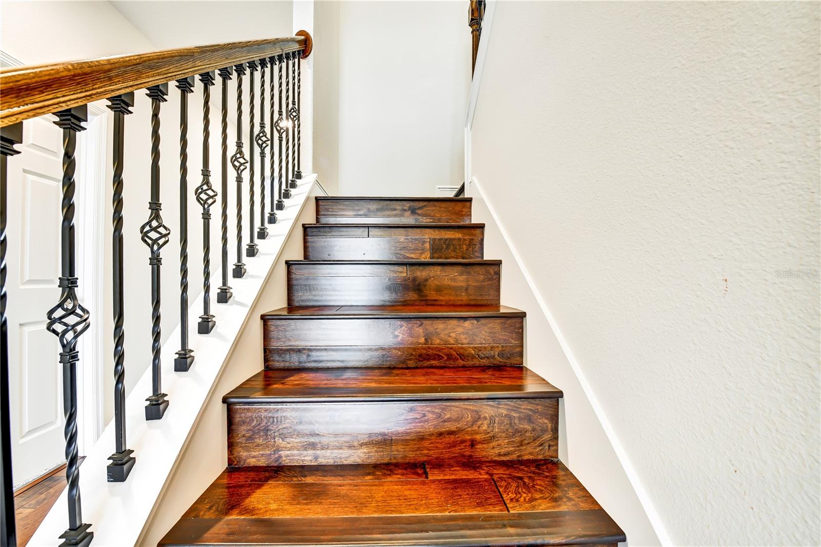 RESERVE AT CITRUS PARK - Residential