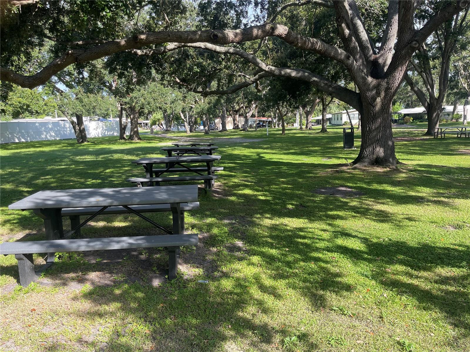 TERRA SIESTA MOBILE HOME PARK CO-OP - Residential