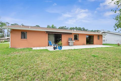 A home in PALM COAST
