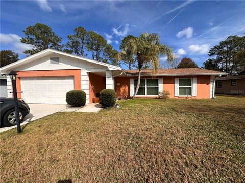 A home in PALM COAST