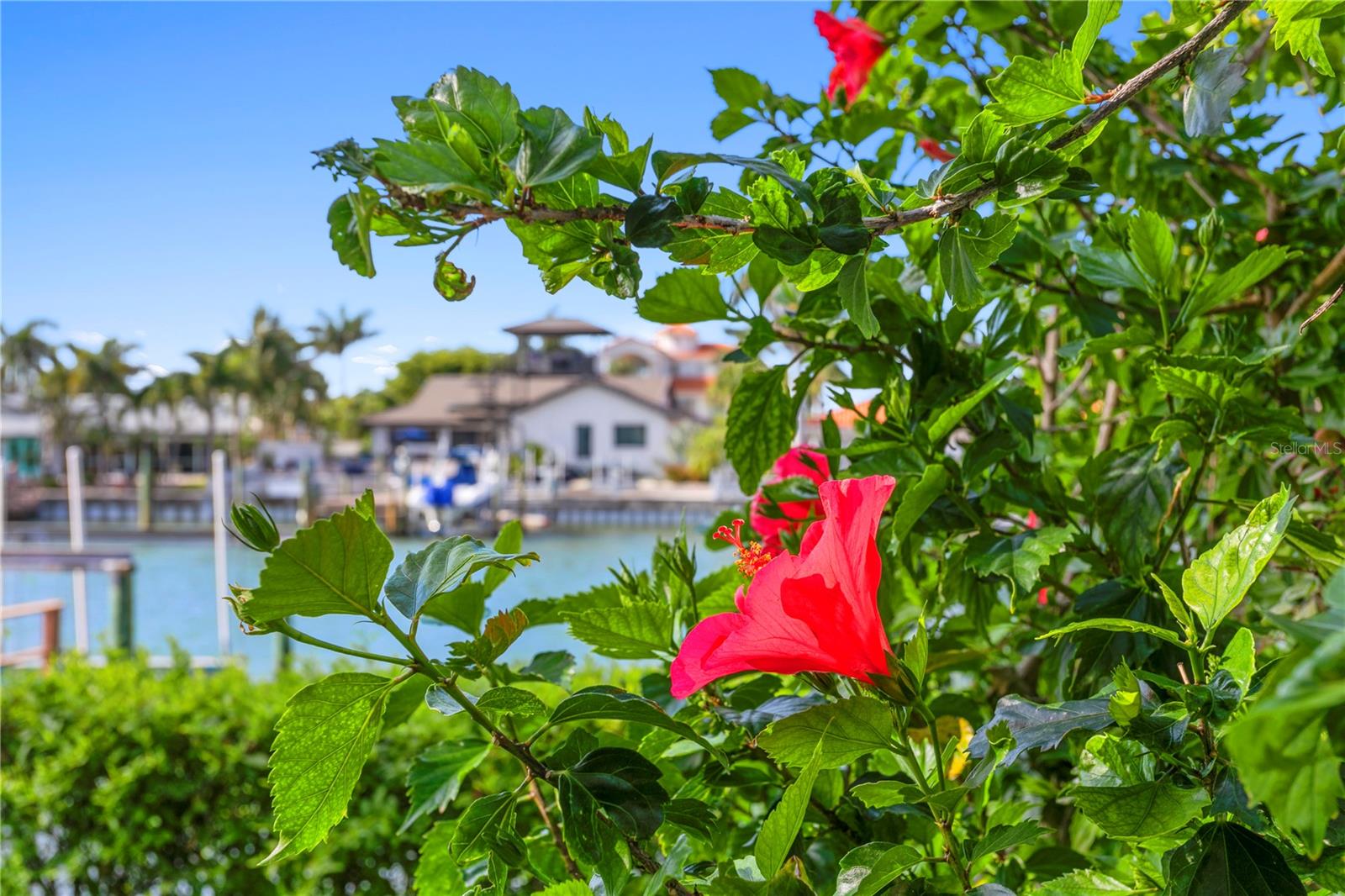 DOLPHIN CAY-PHASE 1 - Residential