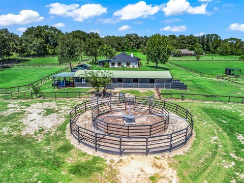 Tiny photo for 15600 SE 47th Avenue, Summerfield, FL 34491 (MLS # OM713630)