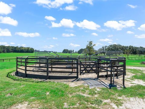 Tiny photo for 15600 SE 47th Avenue, Summerfield, FL 34491 (MLS # OM713630)