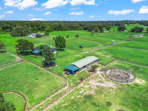 Tiny photo for 15600 SE 47th Avenue, Summerfield, FL 34491 (MLS # OM713630)