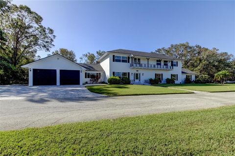 1089 VIRGINIA STREET DUNEDIN FL 34698