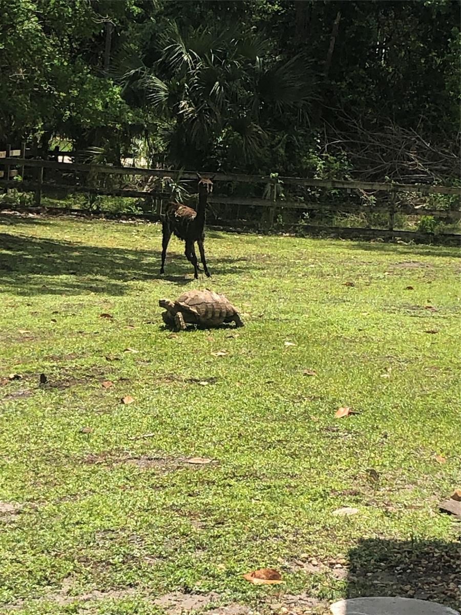 Eagle Rock Ranch Sub - Residential