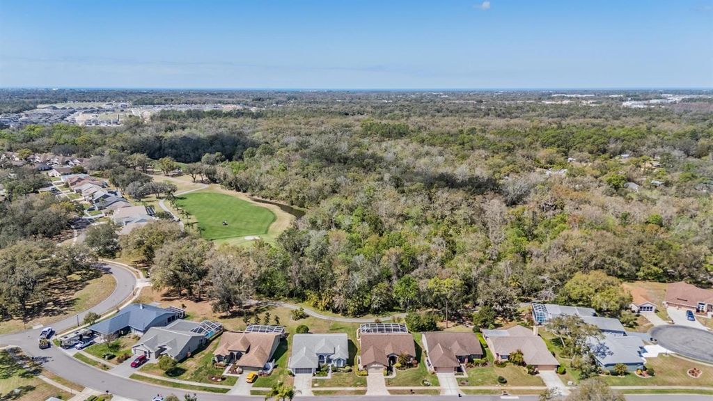 Photo of 9525 Springmeadow Drive, New Port Richey, FL 34655 (MLS # W7883440)