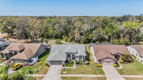 Photo of 9525 Springmeadow Drive, New Port Richey, FL 34655 (MLS # W7883440)