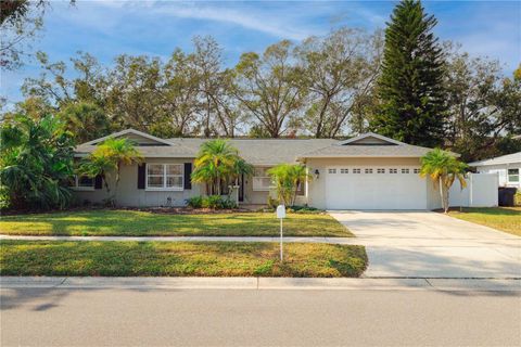 A home in TAMPA