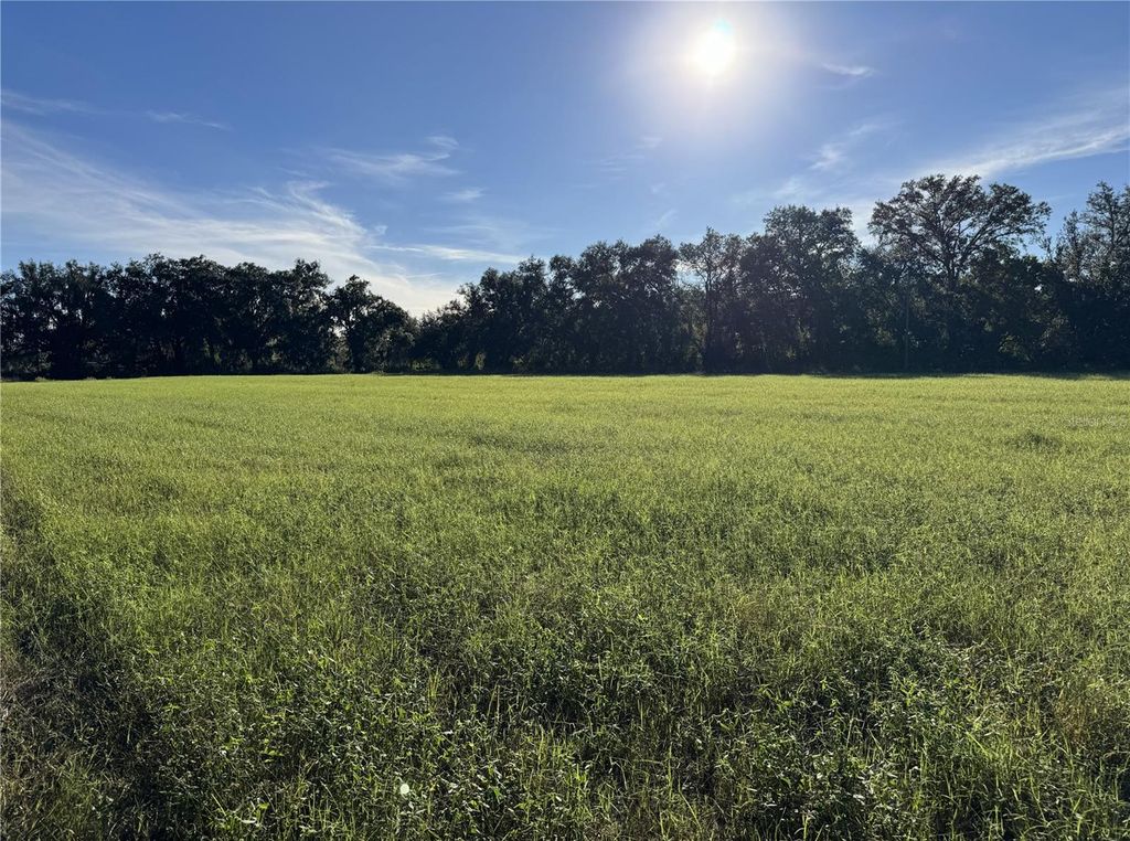 Photo of 23207 E County Road 1474, Hawthorne, FL 32640 (MLS # FC314013)