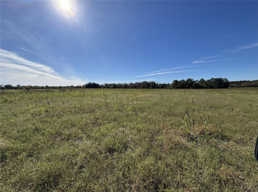Scenic Rolling Hay Field with 8" Well – Approx. 240 Acres (TBD by Survey)
Nestled just off SE 41st Lane, directly accessible from Highway 301, this expansive parcel offers a rare blend of natural beauty and rural versatility. With approximately 240 acres of gently rolling hay fields, this property is a dream canvas for your ideal homestead, ranch, farm or recreational retreat with plenty of turkeys and deer. Just a short drive to Gainesville or Ocala. Don't miss it!