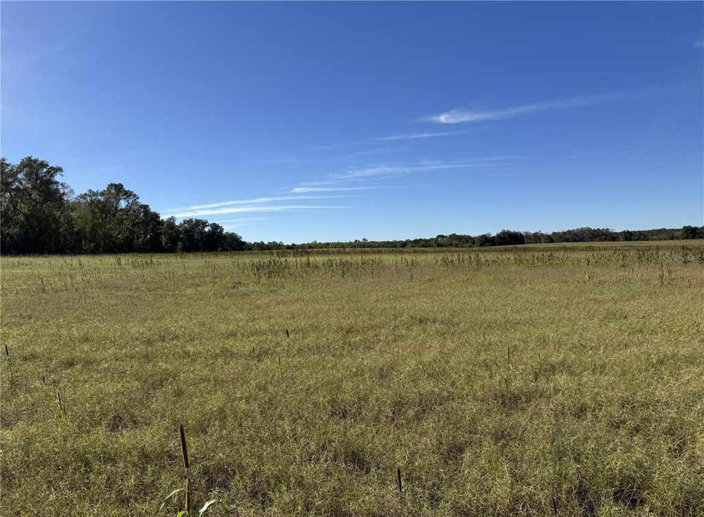 Photo of 23207 E County Road 1474, Hawthorne, FL 32640 (MLS # FC314013)