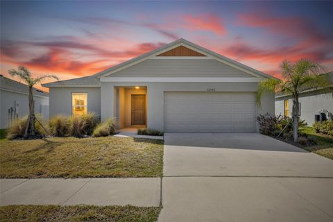 Photo of 12775 Mangrove Forest Drive, Riverview, FL 33579 (MLS # TB8478716)