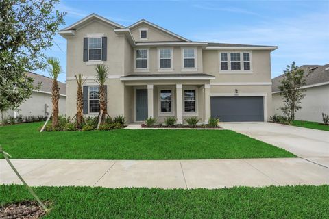 17409 CRISP APPLE LANE LAND O LAKES FL 34638