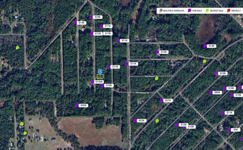 LAKE GEORGE MANOR - Land