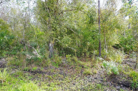 Featured picture for the property C7504337