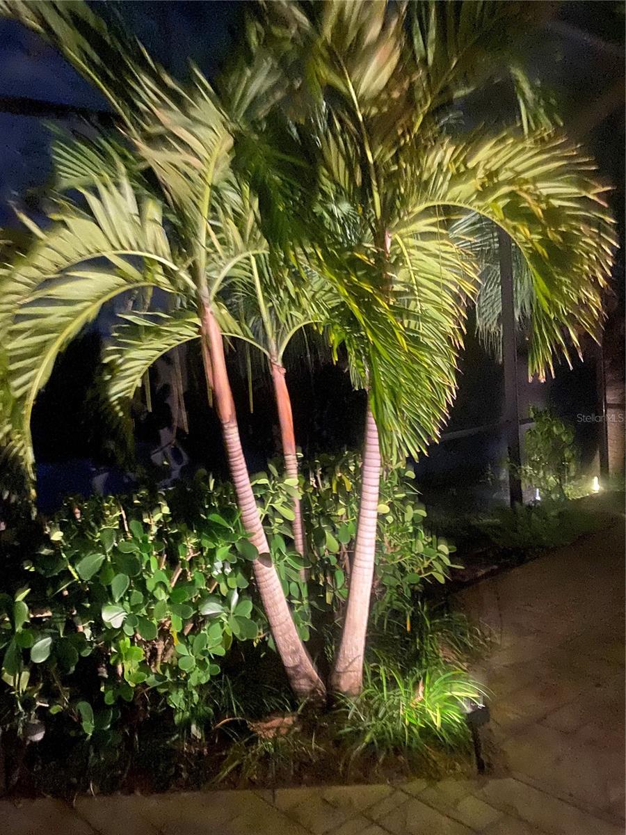 LAKERIDGE FALLS PH 1A - Residential