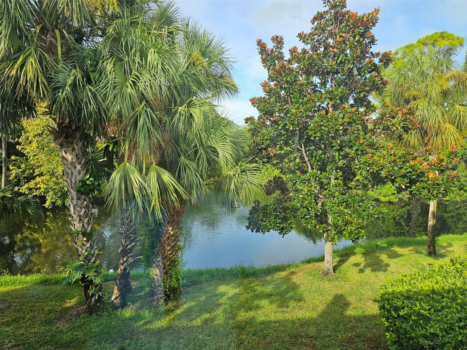 WILDEWOOD SPGS STAGE 5D OF LAKESIDE - Residential Lease