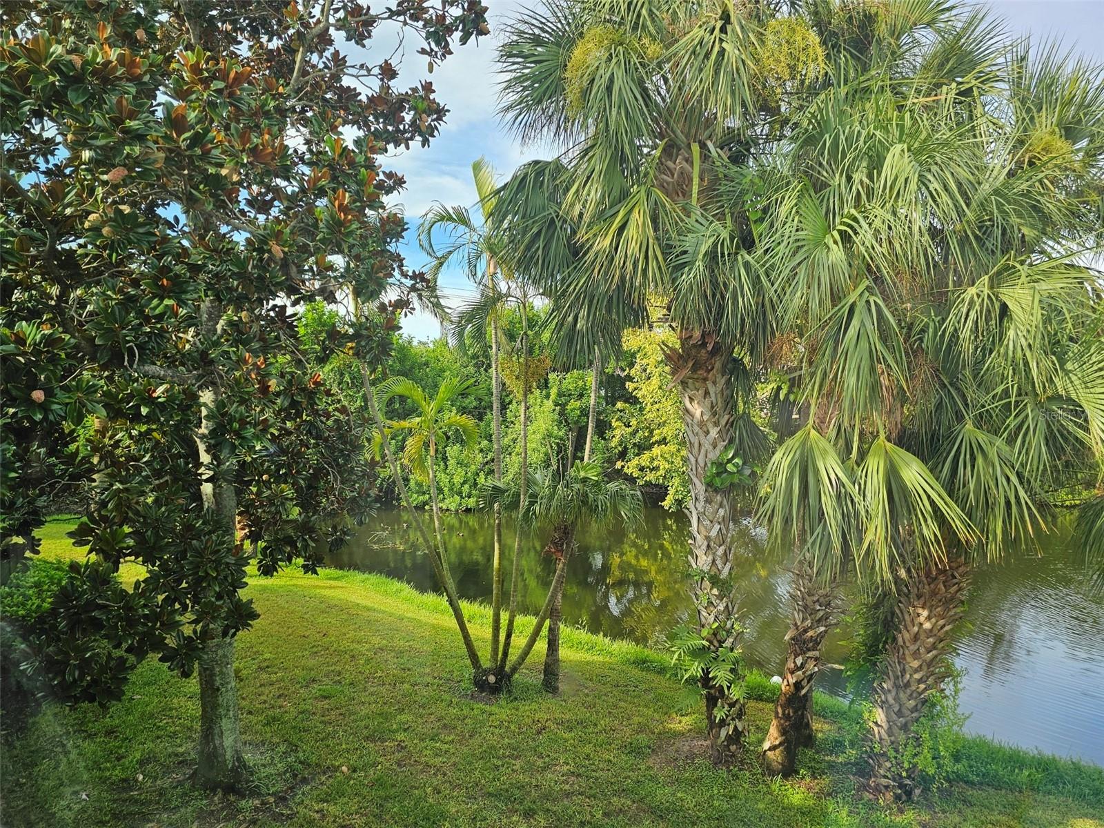 WILDEWOOD SPGS STAGE 5D OF LAKESIDE - Residential Lease