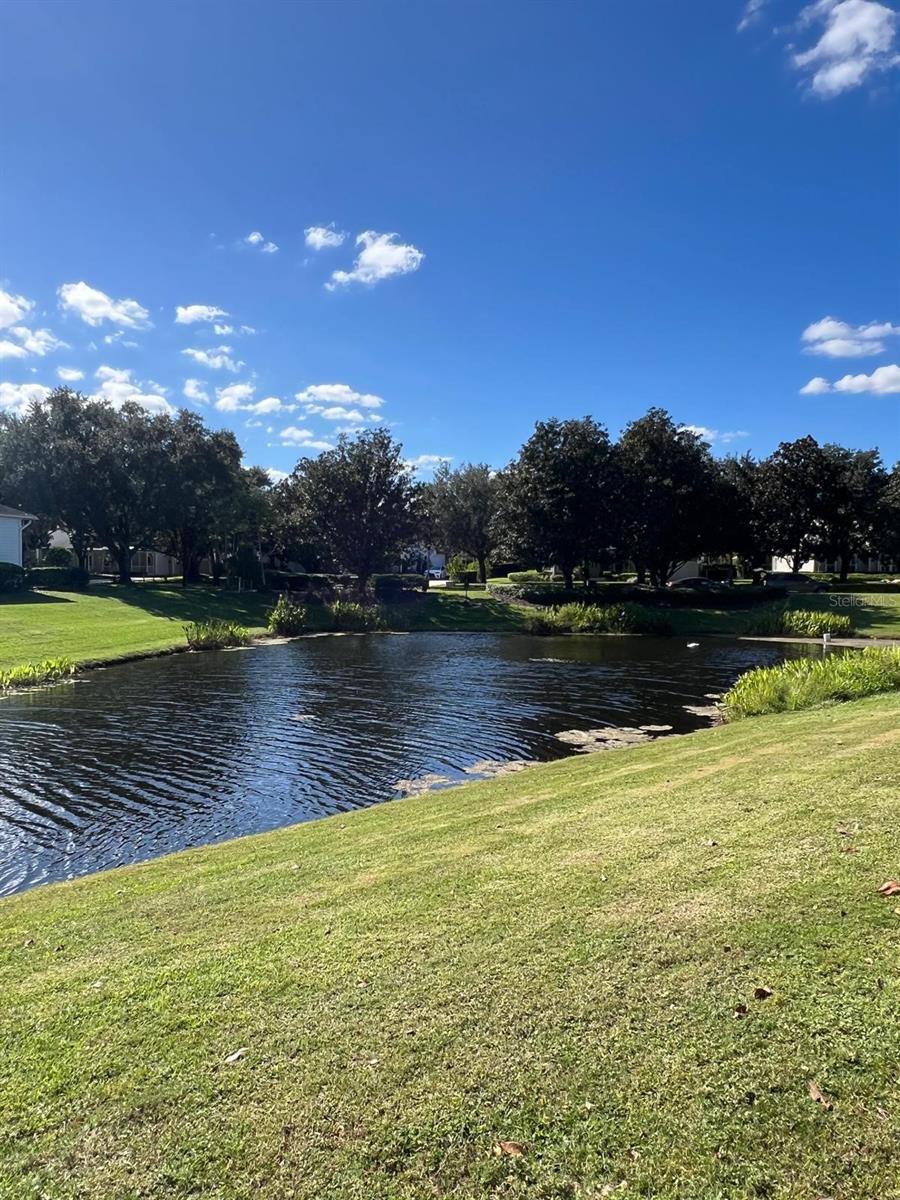 KEENES POINTE UT 06 50 95 - Residential