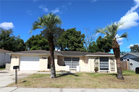 Photo of 9341 Mark Twain Lane, Port Richey, FL 34668 (MLS # TB8425056)