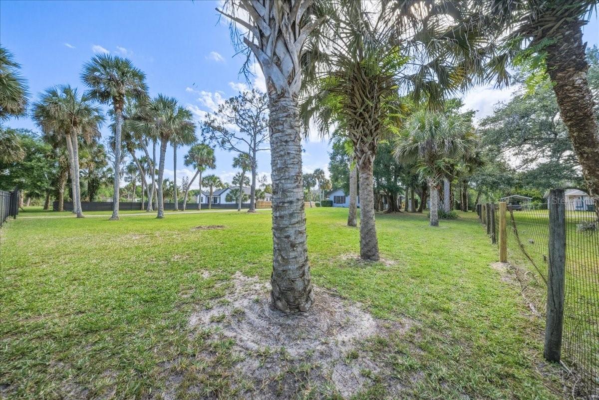 CANAVERAL GROVES SUB - Residential