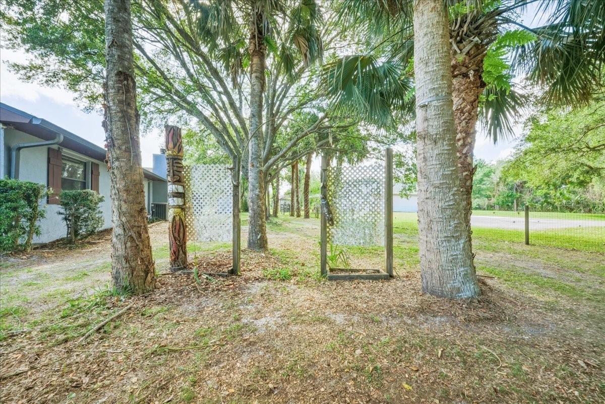 CANAVERAL GROVES SUB - Residential