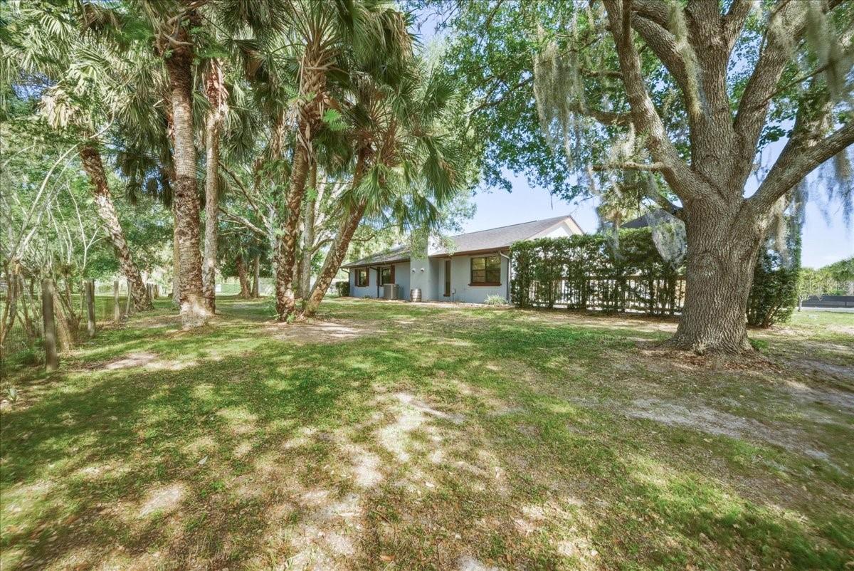 CANAVERAL GROVES SUB - Residential
