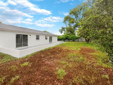 A home in KISSIMMEE