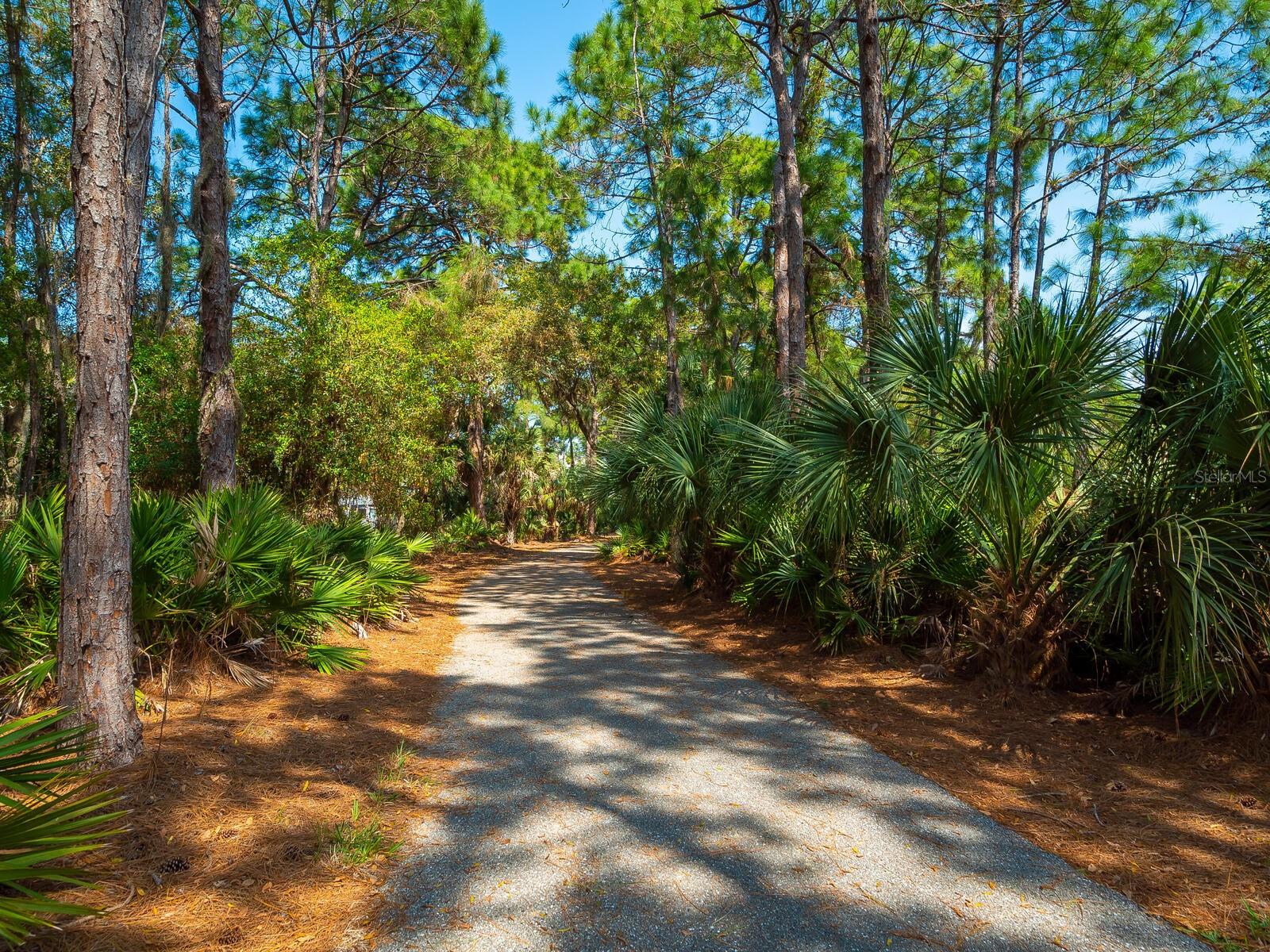 RIVENDELL WOODLANDS - Residential