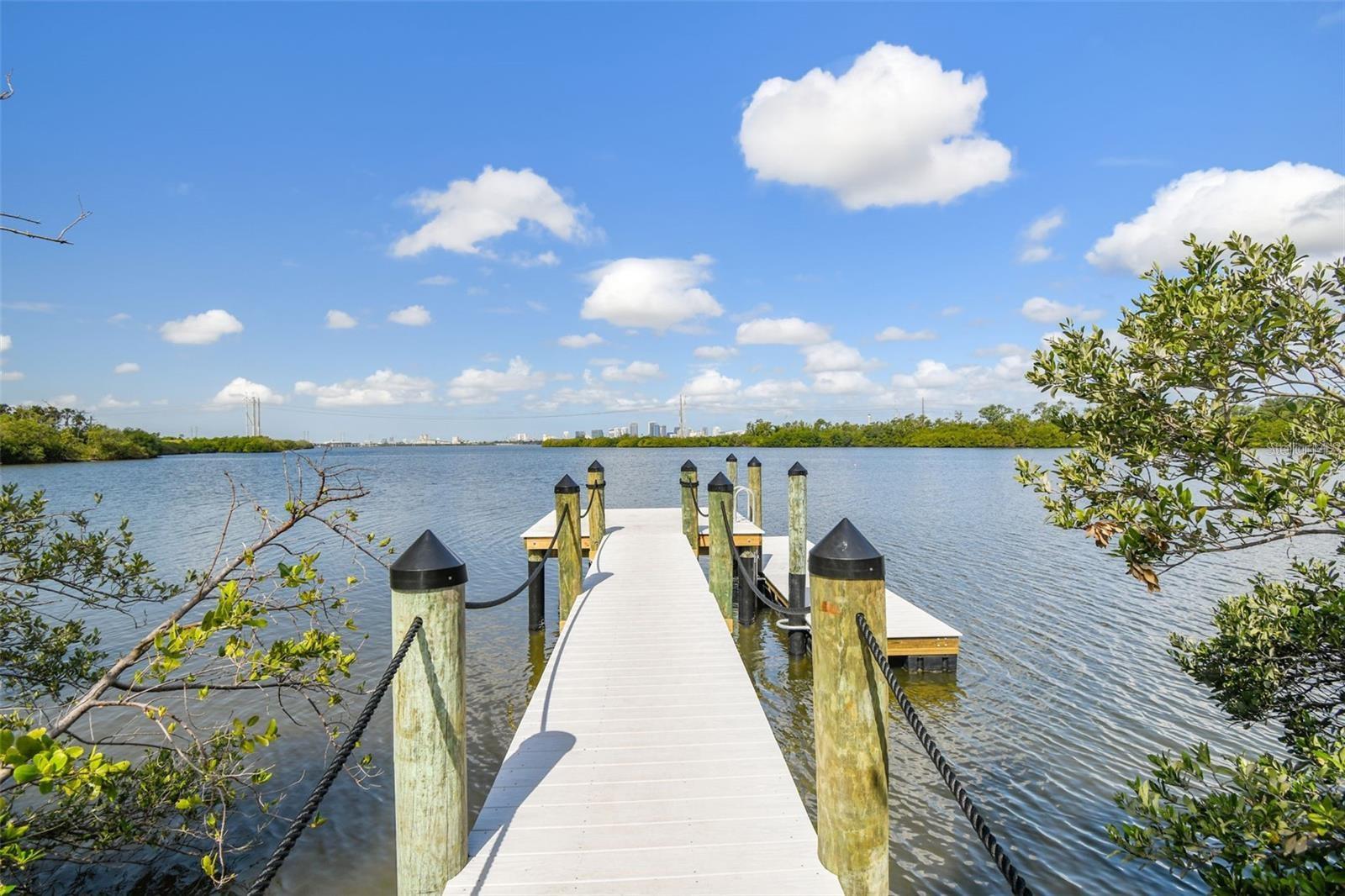 4755 TUSCAN LOON DRIVE