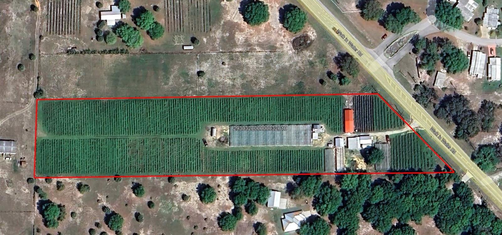 PLEASE CLICK ATTACHEMENT FOR BROCHURE.
5 acre investment property that is organically certified with 12,000 blueberry plants,
5000 Insulina plants, 600 Passion Fruit plants, 500 Moringa trees, 400 Sugar Apples and
500 Fig Trees. The blueberry fruit is harvested annually. The blueberry & other plant's
leaves are harvested to make specialty teas. The property has 9 wells that irrigate the
property with wobbler irrigation. The property has a 10,000 Sq./ft. greenhouse that is
uncovered during the summer but covered during freeze events. There are several other
enclosures and "barns" that are used to grow the plants, drying rooms and processing
rooms for the leaves. Organically Certified Farm
12,000 Blueberry plants (fruit harvested annually),5,000 Insulina plants, 600 Passion Fruit
plants, 500 Moringa trees, 400 Sugar Apples, 500 Fig Trees
Leaves from all plants are harvested and processed into specialty teas
9 wells supplying wobbler irrigation across the property
10X10 pumphouse with 15HP pump and 16KW Generac Generator
500 Gallon Propane Tank
10X30 Processing Room with AC
80x20 Washing and Drying Greenhouse on Slab
3- 20X60 Greenhouses for Moringa, Insulina, & Passion Plants
20X60 Open Metal Building