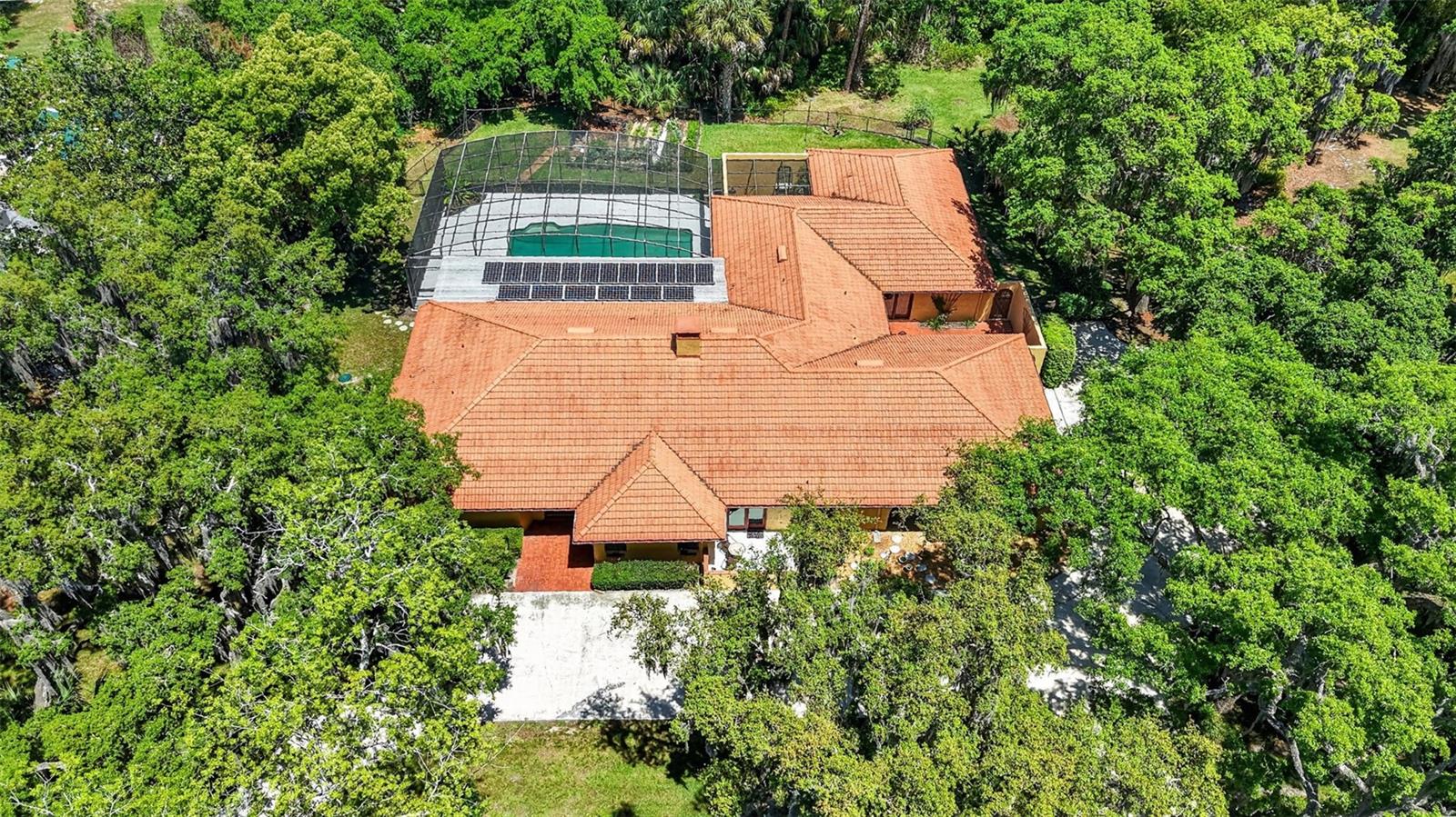 ELYSIUM CLUB - Residential