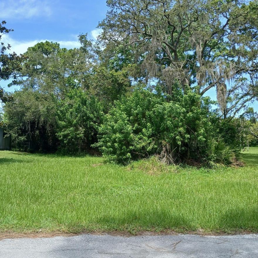 DESIREABLE VACANT LOT SUITABLE FOR BUILDING SINGLE FAMILY HOME IN THE VIBRANT SEA PINES COMMUNITY, ADJACENT TO A BIRD SANCTUARY. WITH HOME COMMUNITY MEMBERSHIP THIS UNIQUE AREA OFFERS BOAT RAMP ACCESS FOR KAYAKING OR CANOEING THROUGH AQUATIC TERRAIN WITH MANATEES AND DOLPHINS. BUILD YOUR, UP TO CODE, DREAM HOME CLOSE TO BEACHES, TRENDY RESTAURANTS, PRISTINE PARKS, AND MAJOR ROADS TO TAMPA AND ST. PETE, AND ENJOY THE FLORIDA LIFESTYLE!