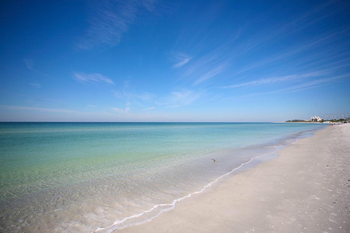 THE BEACH RESIDENCES - Residential Lease