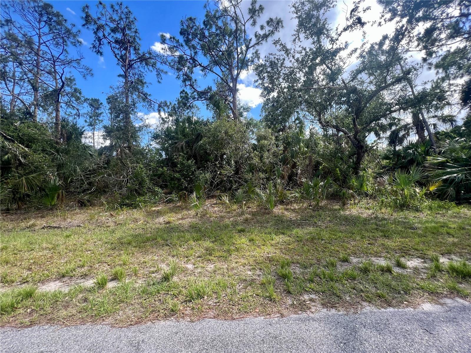 Very nice southern rear exposure in a well developed neighborhood with newer homes in area.