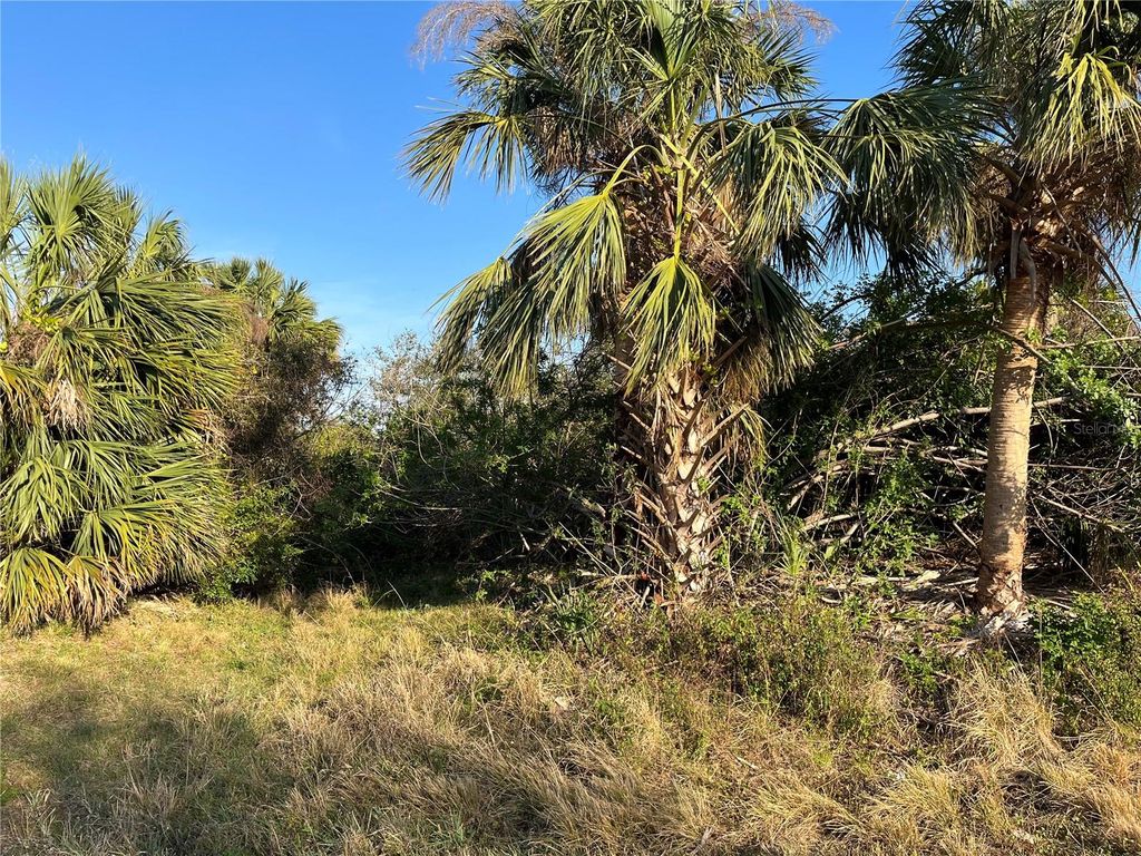 Photo of 236 Denver Drive, Port Charlotte, FL 33954 (MLS # A4640643)