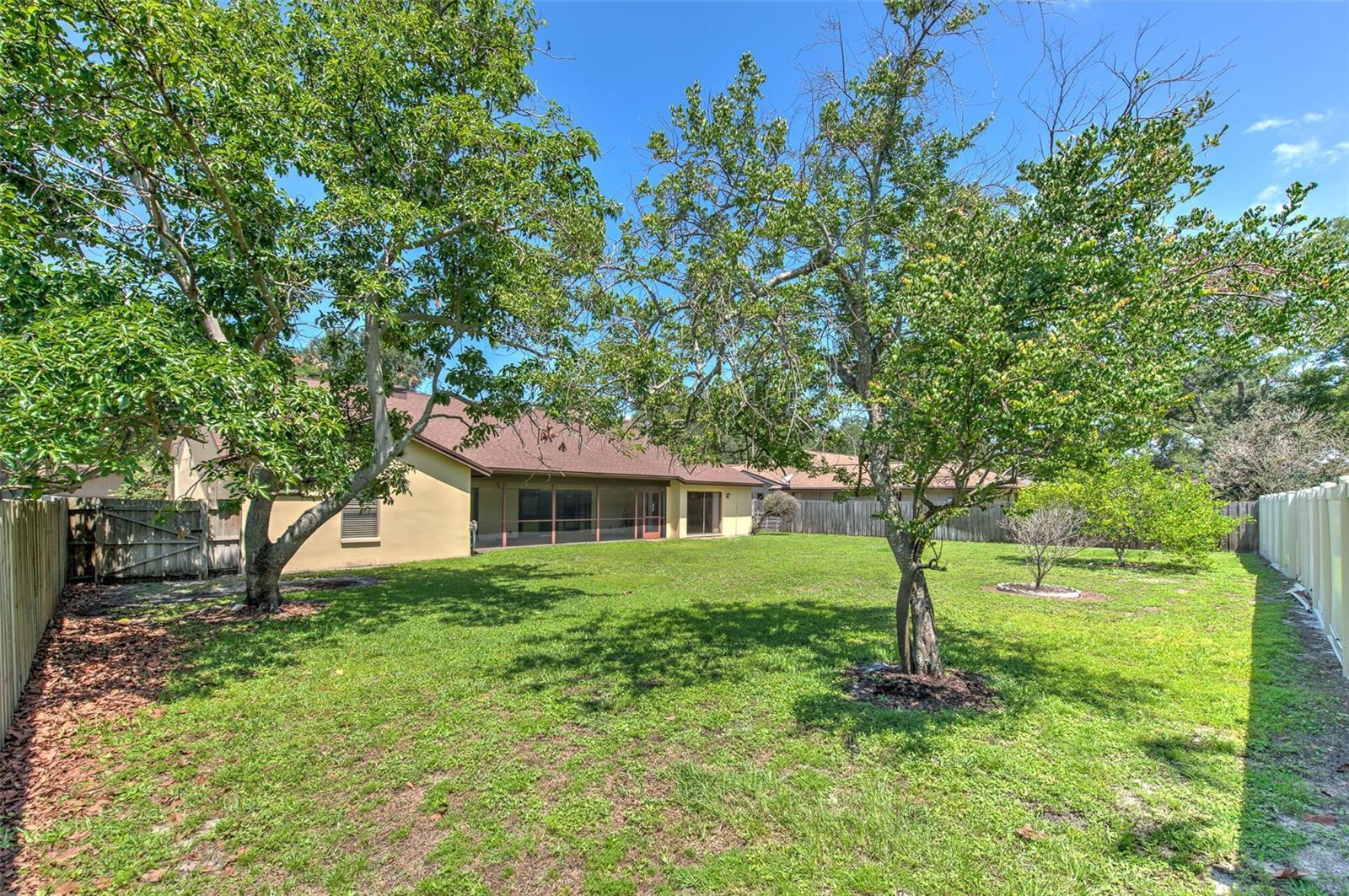 LAKE MAGDALENE MANORS - Residential