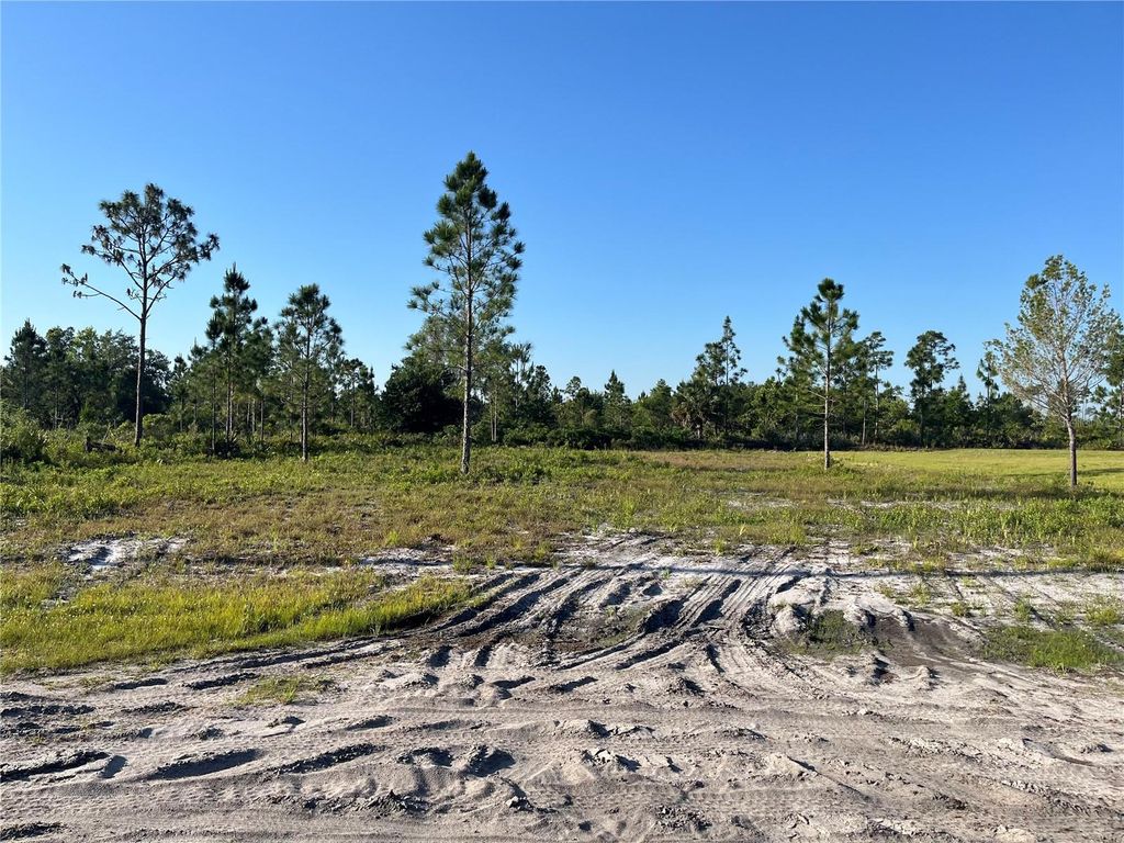 Photo of 1019 Calendula Drive, Indian Lake Estates, FL 33855 (MLS # OK225166)